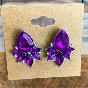 PURPLE MULTIFACETED GEM EARRINGS